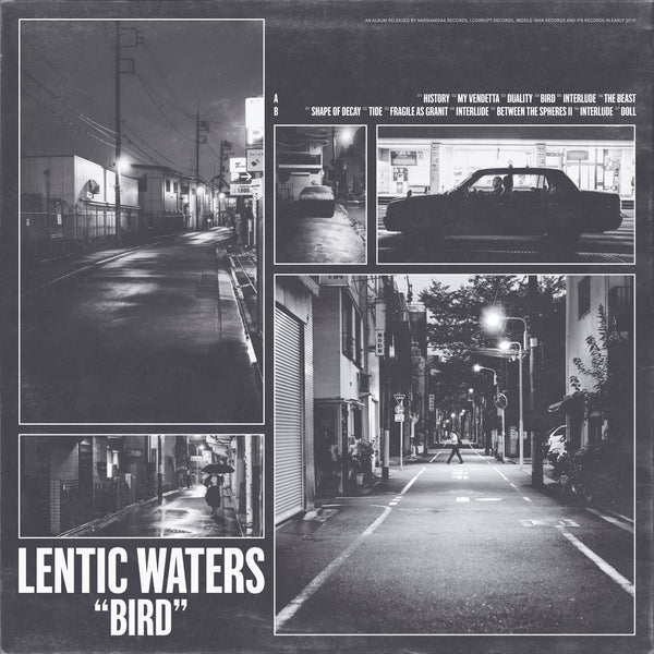 LENTIC WATERS - Bird 12" LP