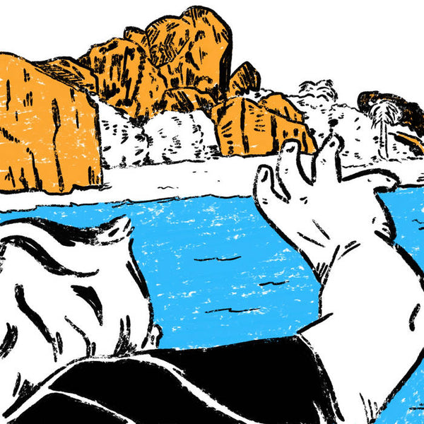 COMA REGALIA - Il Evectes 12" LP