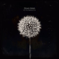 DEAD BIRD (AS LIVING ARROWS) - In The Absence Of 12" LP