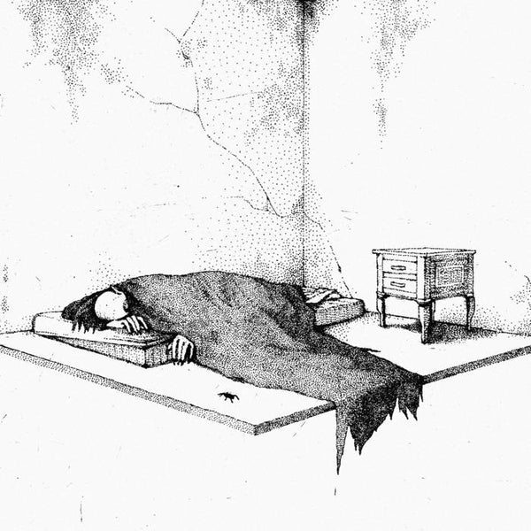 NOYÉ - Questo Cielo È Un Soffitto... 12" LP