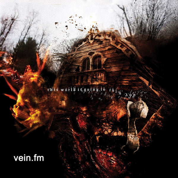 VEIN.FM - This World Is Going To Ruin You 12" LP