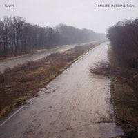 TULIPS – Tangled in Transition 10″ EP