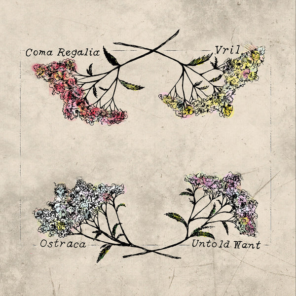 UNTOLD WANT / OSTRACA / VRIL / COMA REGALIA - Split 10" EP