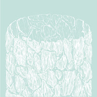 WASA - Corteccia 10" EP