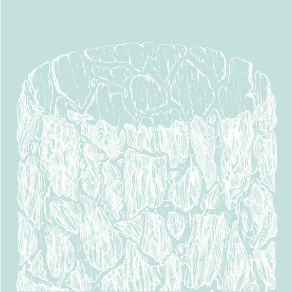 WASA - Corteccia 10" EP