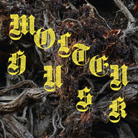 ABEST - Molten Husk 12" LP